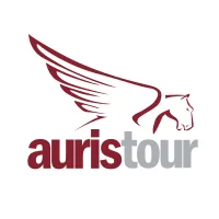 Auris Tour LLC