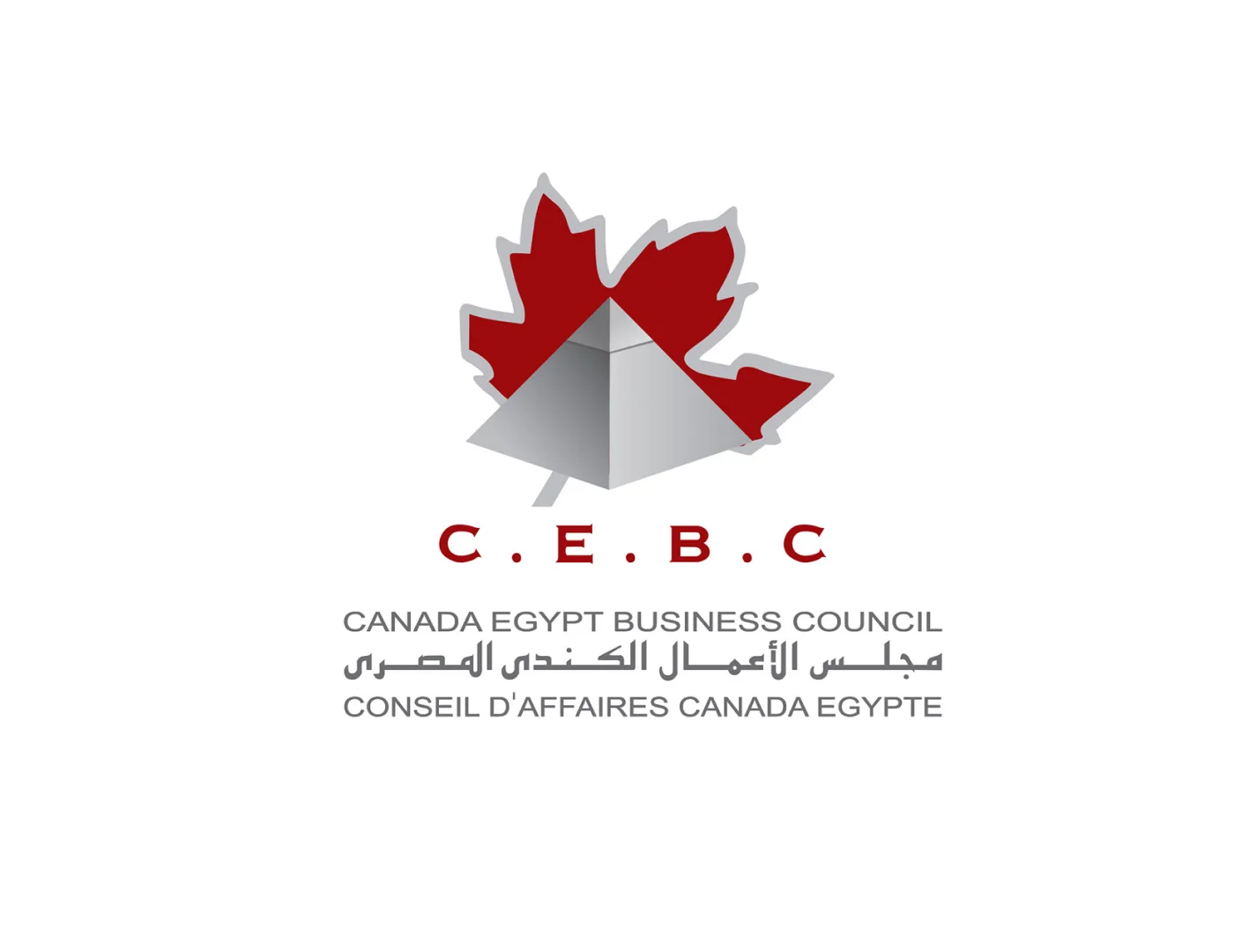 Canada Business Egypt Council: A New Website for a Growing Organization